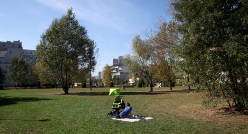 Irytująca ścieżka. Lasek Brzozowy o sobie przypomina
