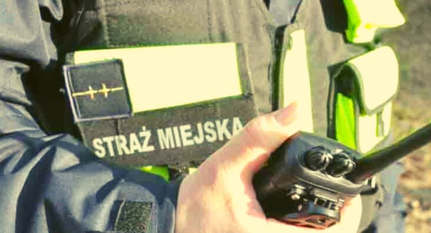 Co za przypadek na ul. Polnej Róży 