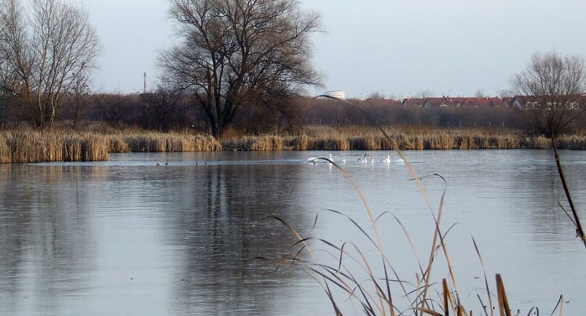 Jezioro Grabowskie - warto nad nim popracować 