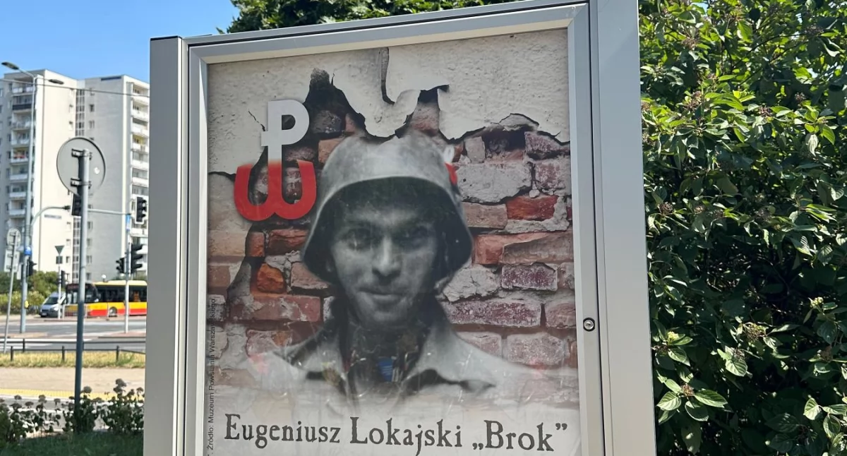 Zdjęcia/UM