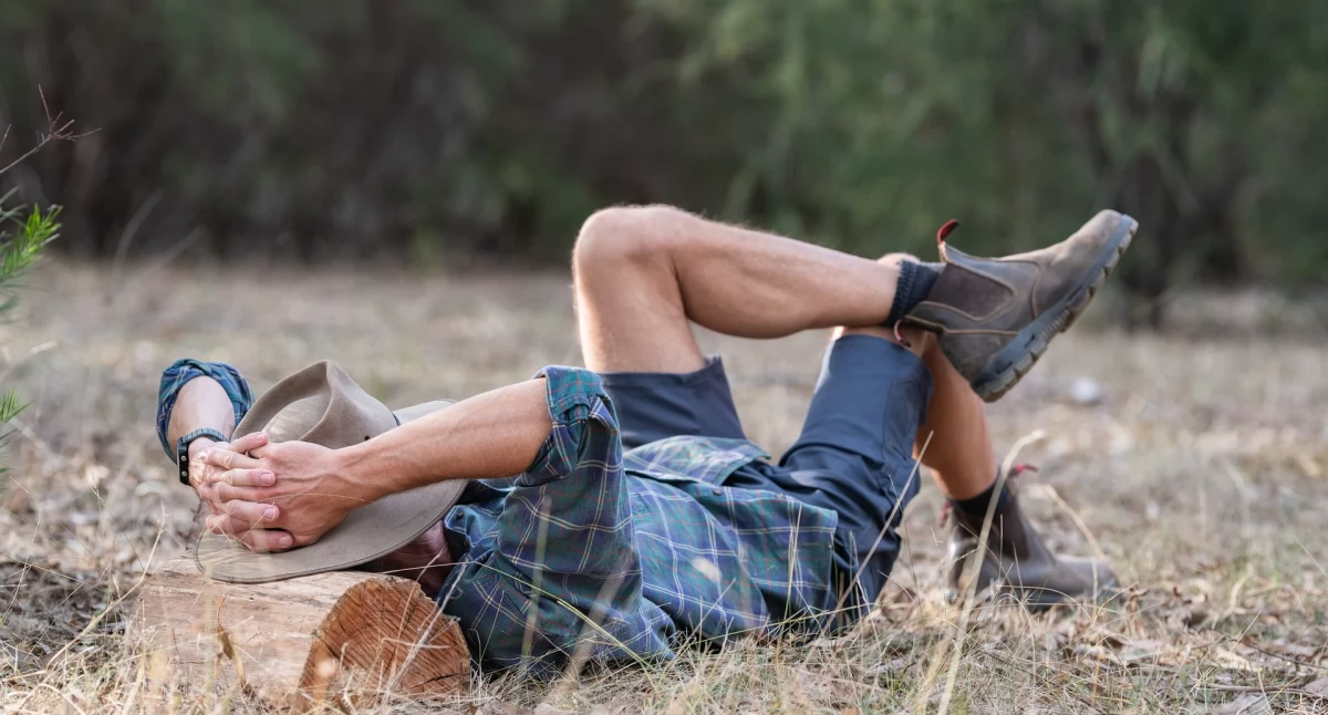 Zieleń, Słuchaj oddychaj relaksuj muzyka solanka jednym miejscu - zdjęcie, fotografia