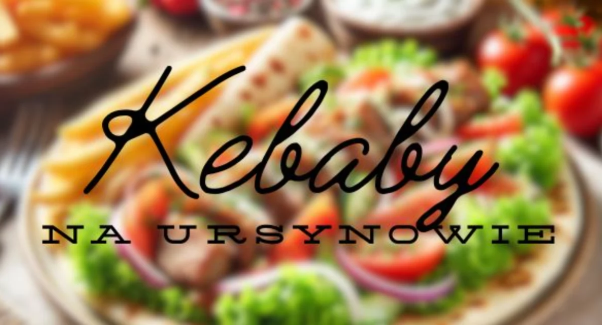 Handel i usługi, Najlepszych Restauracji Kebabowych Ursynowie - zdjęcie, fotografia