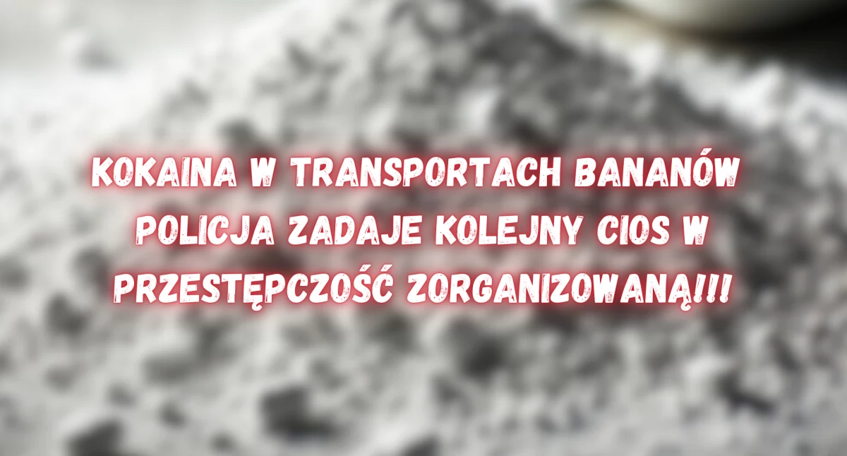 Akcja policyjna, Wielka operacja policyjna Narkogang przemycał kokainę Polski - zdjęcie, fotografia