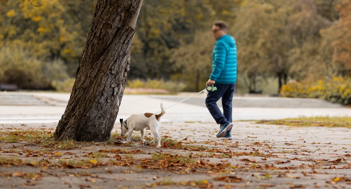 Rodziny, robić Ursynowie weekend Przegląd wydarzeń atrakcji - zdjęcie, fotografia
