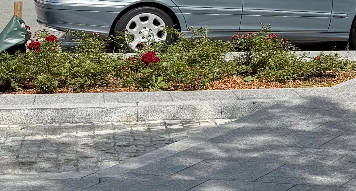 Urząd dzielnicy, Czasowe zamknięcie parkingu Urzędzie Dzielnicy Ursynów - zdjęcie, fotografia