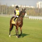 zdjęcie nr 59