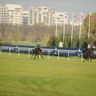 zdjęcie nr 124