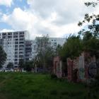 zdjęcie nr 8