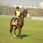 zdjęcie nr 60