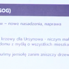 Fotka nr 2 z 3