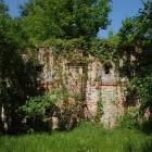 Fotka nr 5 z 7