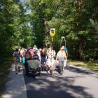 Fotka nr 1 z 8