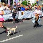 zdjęcie nr 87