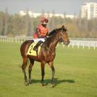 zdjęcie nr 84