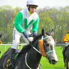 zdjęcie nr 17