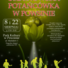 zdjęcie nr 36