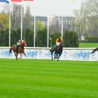 zdjęcie nr 80