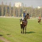zdjęcie nr 79
