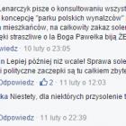 zdjęcie nr 9