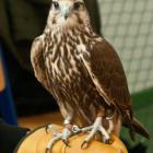 zdjęcie nr 92