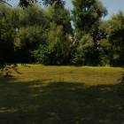 Fotka nr 5 z 8