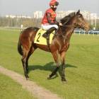 zdjęcie nr 82