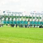 zdjęcie nr 48