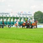 zdjęcie nr 50