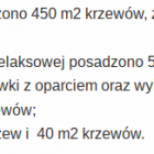 Fotka nr 2 z 3