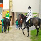 zdjęcie nr 38