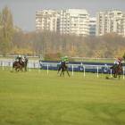 zdjęcie nr 126