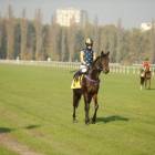 zdjęcie nr 80