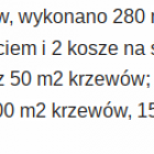 Fotka nr 1 z 3