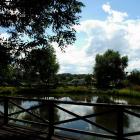 zdjęcie nr 31