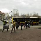 Fotka nr 2 z 6