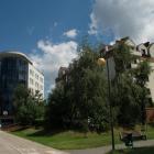 zdjęcie nr 16