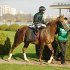 zdjęcie nr 134