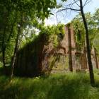zdjęcie nr 7