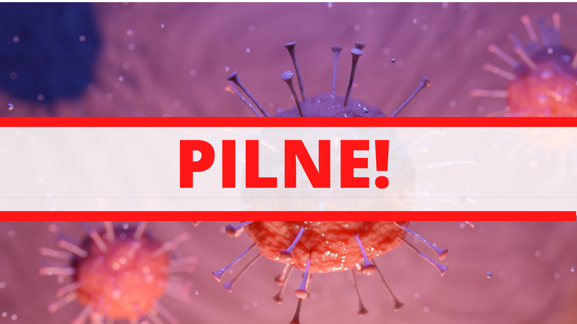 Zdjęcie: Ursynów Warszawa wiadomości Ursynów Dzielnica Warszawy Portal Ursynowa iursynow