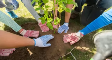 Ursynów upamiętnia Powstanie Warszawskie – 80 drzew na 80 lat bohaterstwa!
