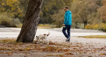 Co robić na Ursynowie w weekend? Przegląd wydarzeń i atrakcji