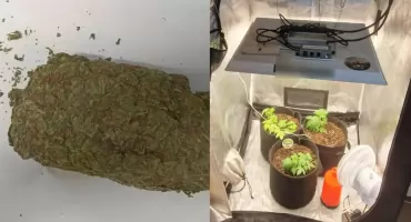 Domowa plantacja marihuany i narkotyki w skrzynce na listy – zatrzymano dwóch braci na Ursynowie