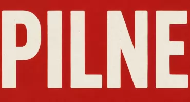 Dramatyczne odkrycie na Ursynowie — worek ze szczeniakami przy śmietniku